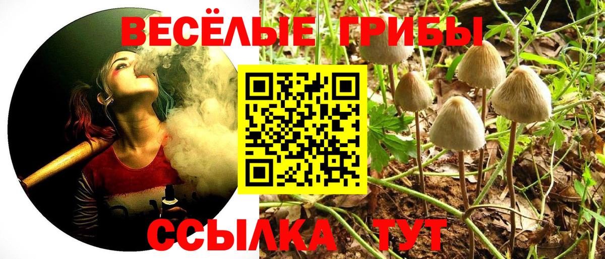 Зеленодольск  Галлюциногенные грибы MAGIC MUSHROOMS  Вход с VPN 