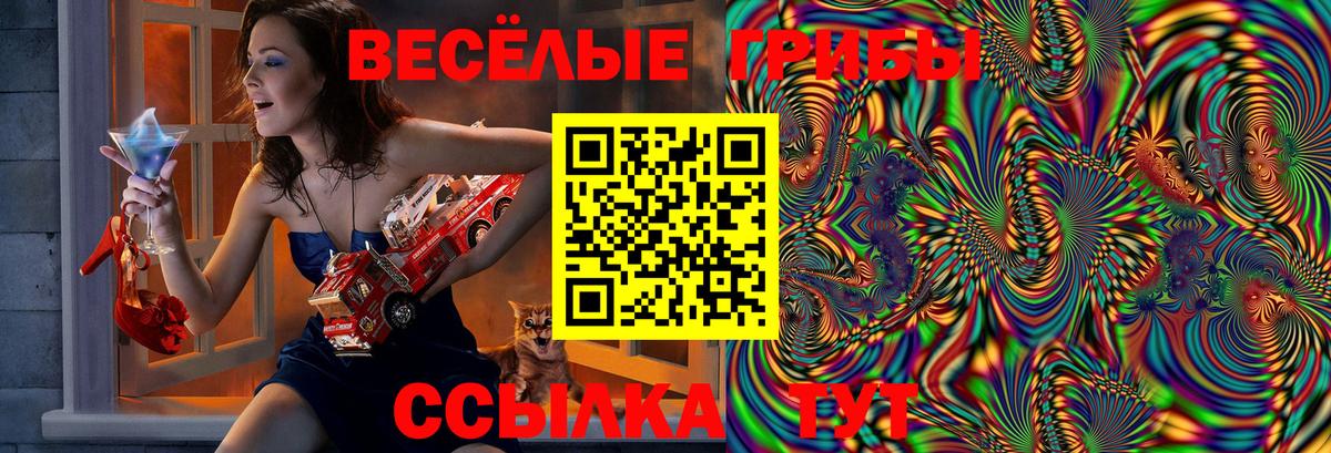 Псилоцибиновые грибы Psilocybine cubensis Зеленодольск